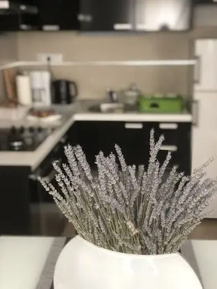 Comfort Apart Daire, 2 Yatak Odası, Balkon