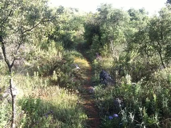 Oda, 1 Yatak Odası, Mikrodalga