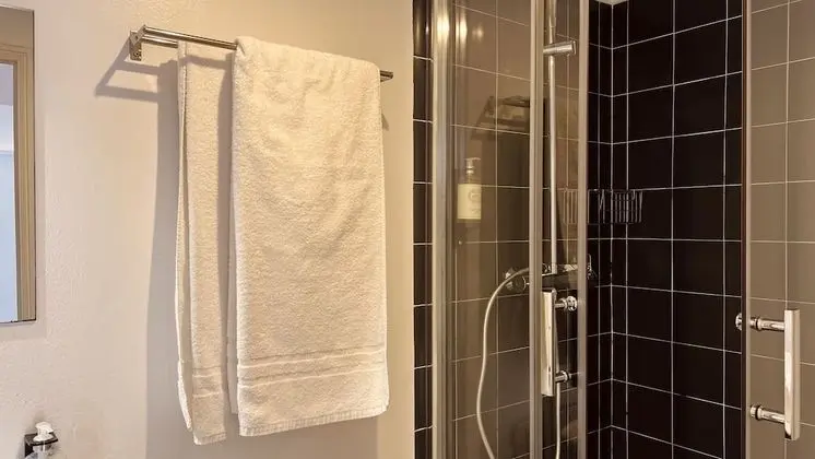 Standard Tek Büyük Yataklı Oda, Balkon