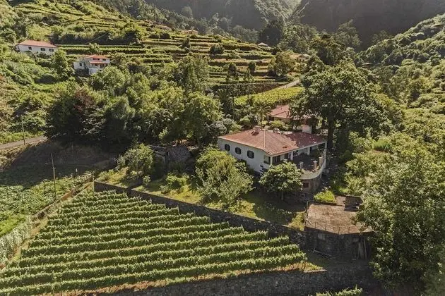 Kır Evi (1 Bedroom)