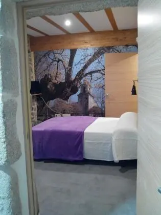 Standard Tek Büyük Yataklı Oda, 1 Çift Kişilik Yatak, Engellilere Uygun (001 Campanario)