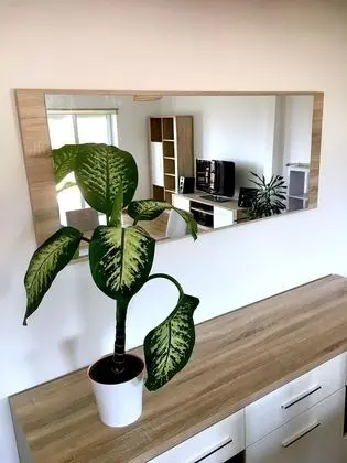 Apart Daire, 2 Yatak Odası, Dağ Manzaralı