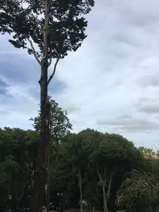 Premium Tek Büyük veya İki Ayrı Yataklı Oda