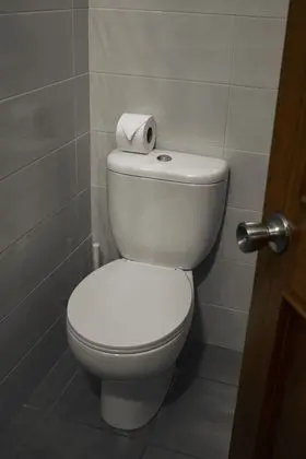 Traditional Tek Büyük Yataklı Oda, 1 Çift Kişilik Yatak