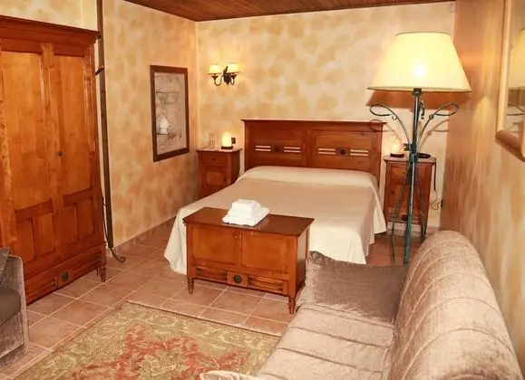 Standard Tek Büyük Yataklı Oda, Avlu Manzaralı