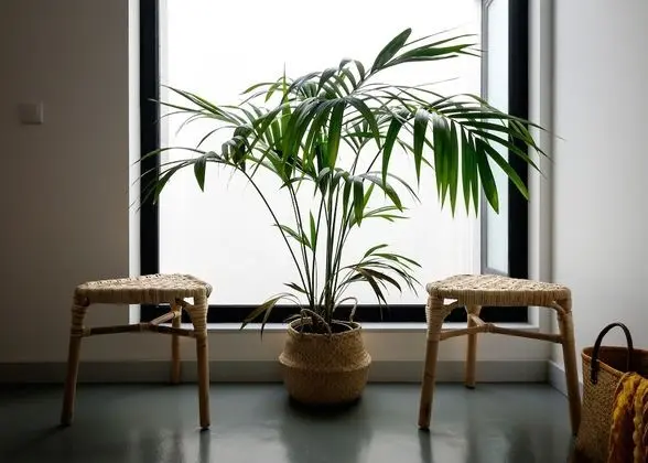 Comfort Apart Daire, 2 Yatak Odası