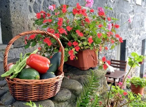 Apart Daire, 1 Yatak Odası, Teras, Okyanus Manzaralı (2)