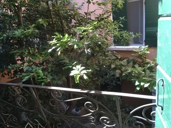 Deluxe Oda, Balkon, Kanal Manzaralı