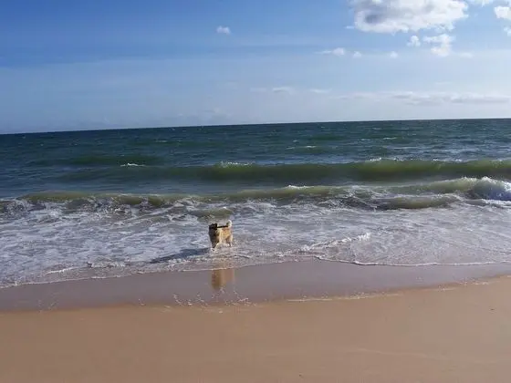 Ev, 3 Yatak Odası, Engellilere Uygun, Sigara İçilebilir