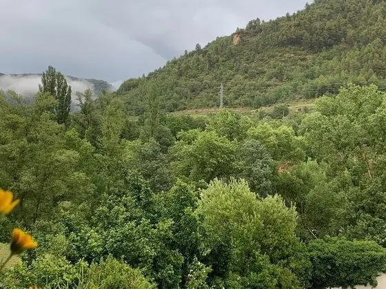 Comfort İki Ayrı Yataklı Oda, Sigara İçilmez, Nehir Manzaralı