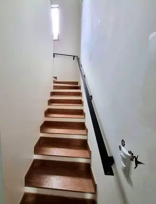 Basic Süit