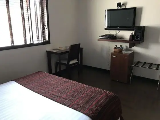 Deluxe Tek Kişilik Oda, 1 Büyük (Queen) Boy Yatak