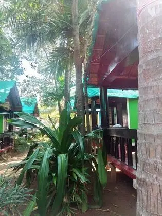 Basic Kır Evi