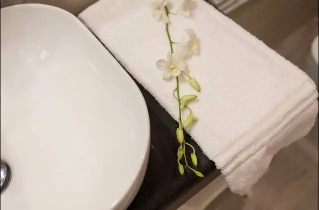 Comfort Tek Büyük Yataklı Oda, Bahçe Manzaralı