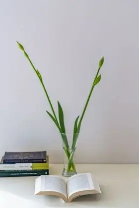 Apart Daire, 2 Yatak Odası, Veranda, Deniz Manzaralı