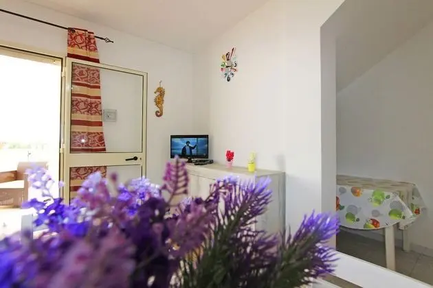 Apart Daire, 2 Yatak Odası, Sigara İçilmez