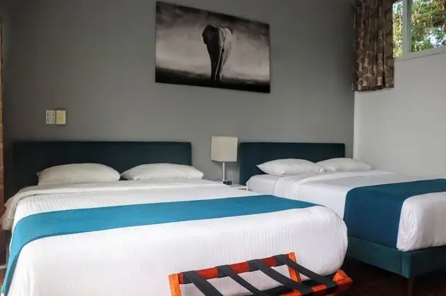 Junior Suite, Multiple Beds with Terrace and Kitchenette