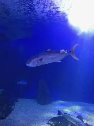 Apart Daire, 2 Yatak Odası, Teras