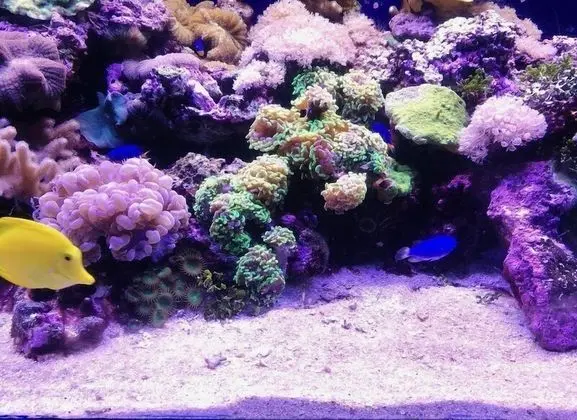 Apart Daire, 2 Yatak Odası, Teras