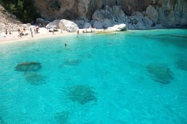 Apart Daire, 2 Yatak Odası, Teras