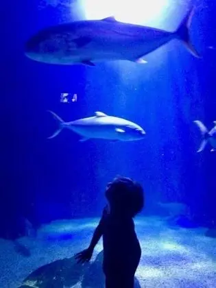 Apart Daire, 2 Yatak Odası, Teras