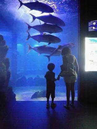 Apart Daire, 2 Yatak Odası, Teras