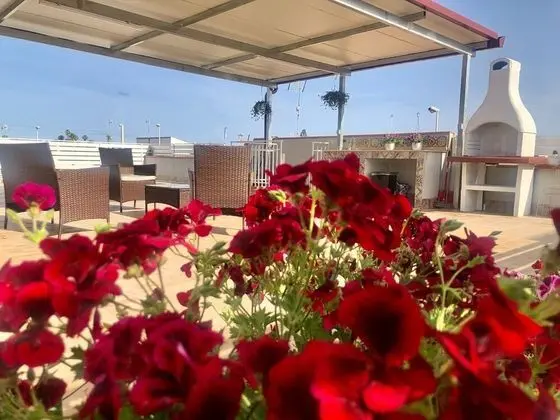 Superior Apart Daire, Özel Banyo (Familiare con Terrazzo)