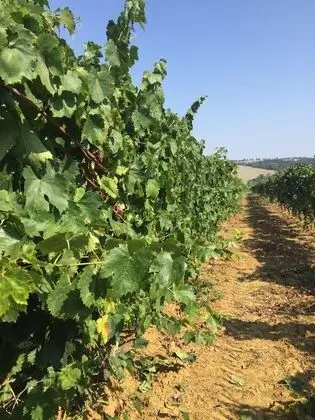 Apart Daire, 2 Yatak Odası, Engellilere Uygun, Sigara İçilebilir