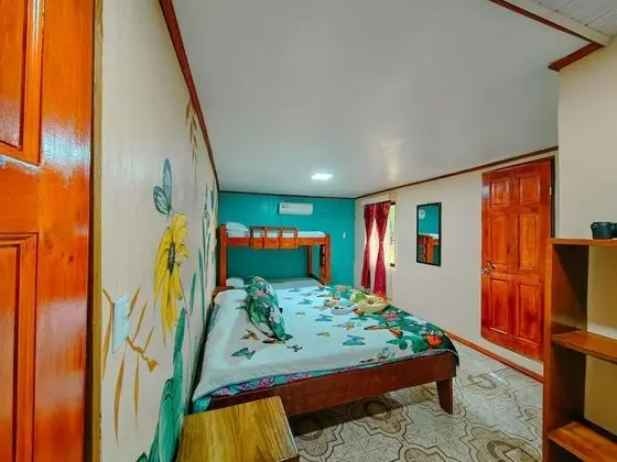 Basic Tek Büyük veya İki Ayrı Yataklı Oda, Birden Çok Yatak