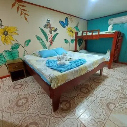 Basic Tek Büyük veya İki Ayrı Yataklı Oda, Birden Çok Yatak