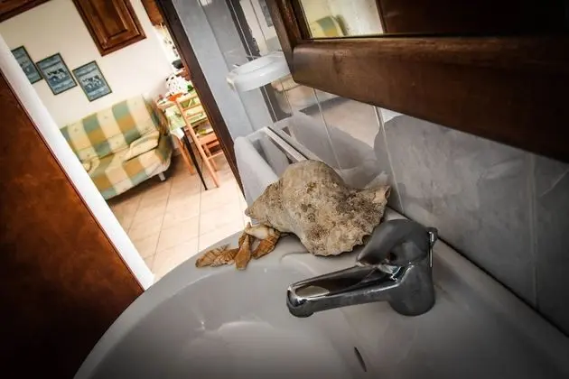 Tek Büyük Yataklı Oda, Balkon
