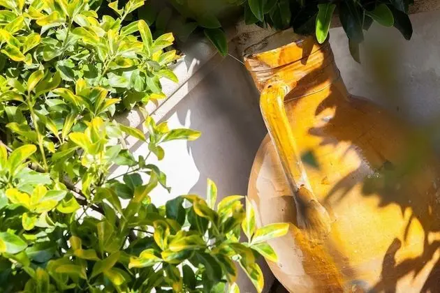 Villa, 1 Yatak Odası