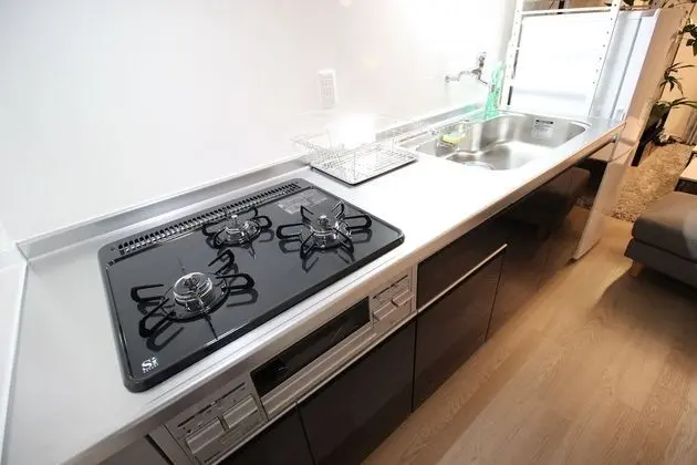 Ev (Detached house (11 people) CG -1)