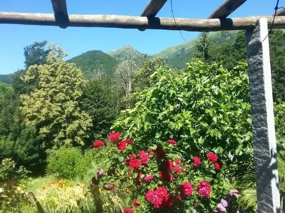 Ev, 2 Yatak Odası, Veranda