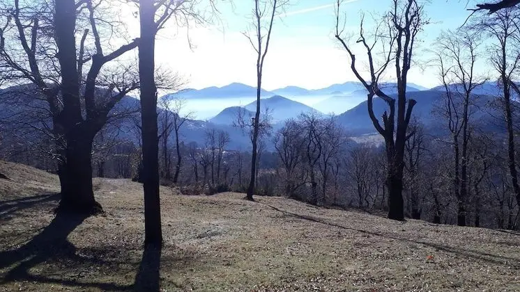 Ev, 2 Yatak Odası, Veranda