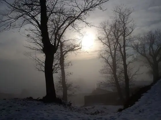 Ev, 2 Yatak Odası, Veranda