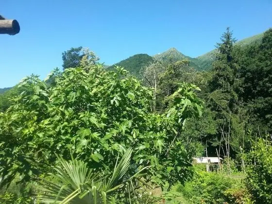 Ev, 2 Yatak Odası, Veranda