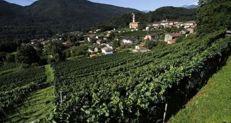 Ev, 2 Yatak Odası, Veranda