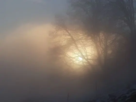 Ev, 2 Yatak Odası, Veranda