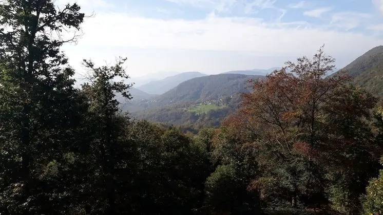 Ev, 2 Yatak Odası, Veranda