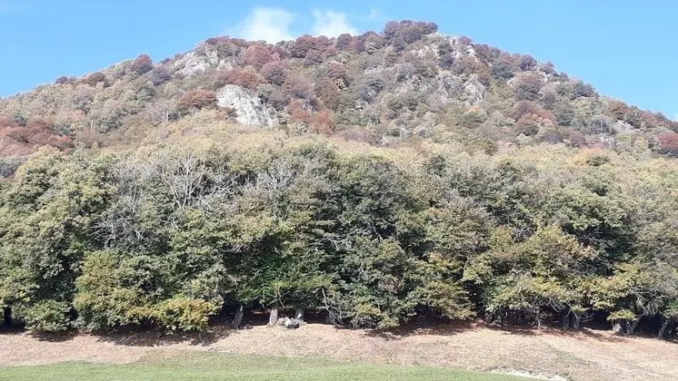 Ev, 2 Yatak Odası, Veranda