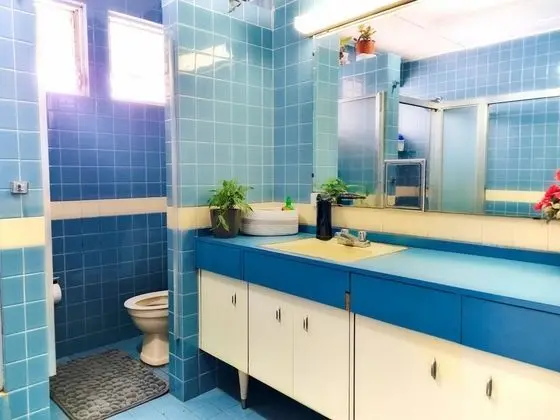 Standard Tek Büyük veya İki Ayrı Yataklı Oda, Ortak Banyo