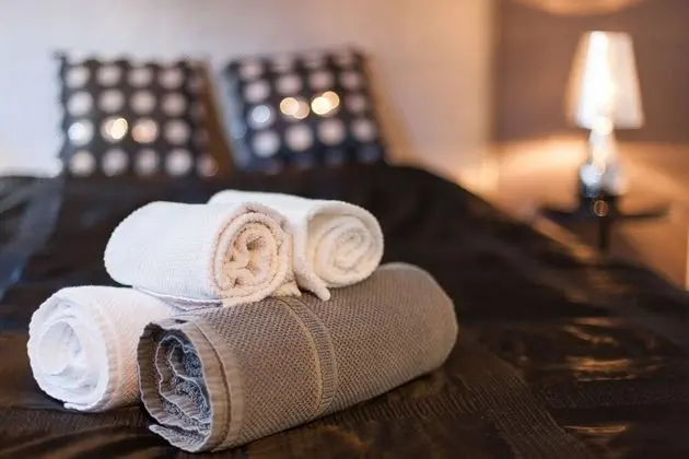 Premium Apart Daire, 2 Yatak Odası