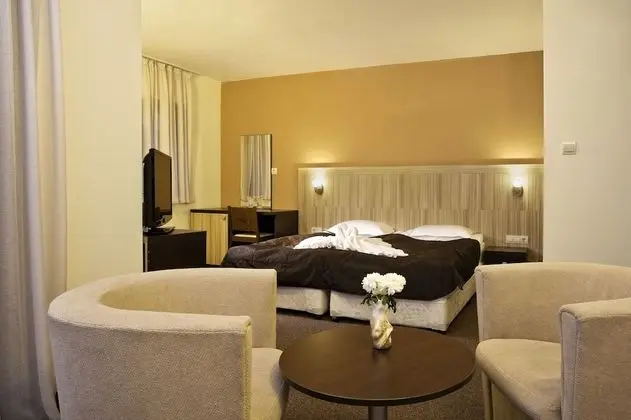Standard Tek Büyük Yataklı Oda (Free Sauna, Steam Bath, Fitness)