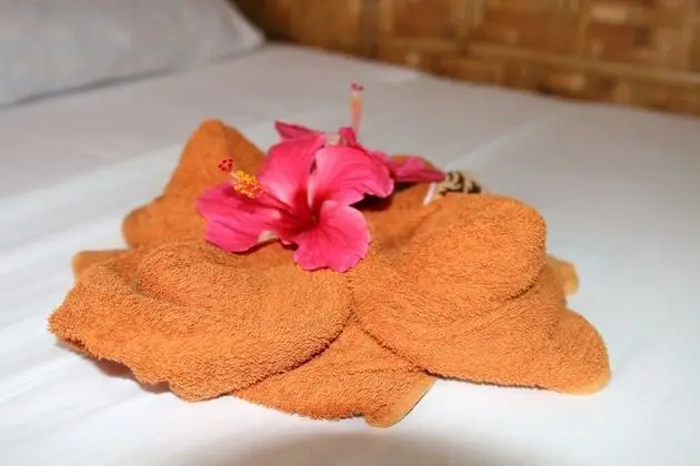 Deluxe Oda, 1 Yatak Odası, Özel Banyo