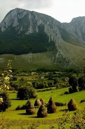 Panoramic Tek Büyük veya İki Ayrı Yataklı Oda