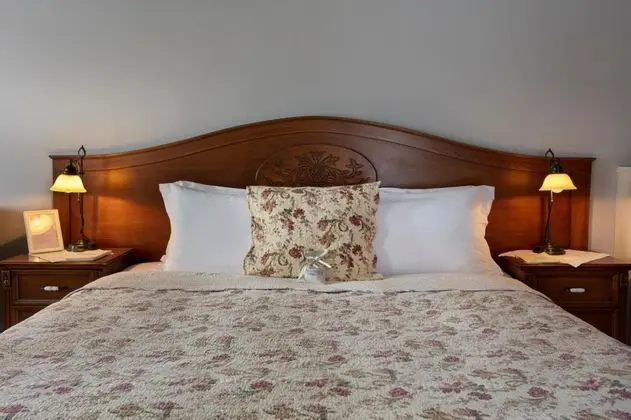 Junior Suite, Orman Manzaralı, Teraslı