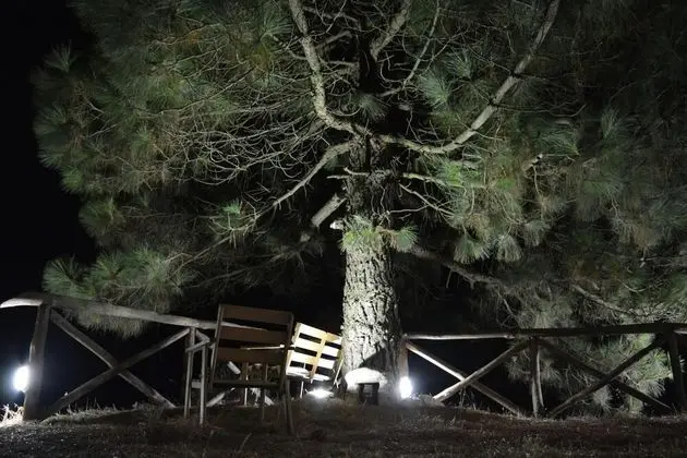Ev, Sigara İçilebilir