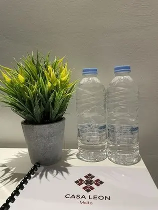 Tek Büyük Yataklı Oda, Balkon