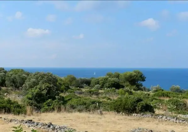 Stüdyo, Deniz Manzaralı
